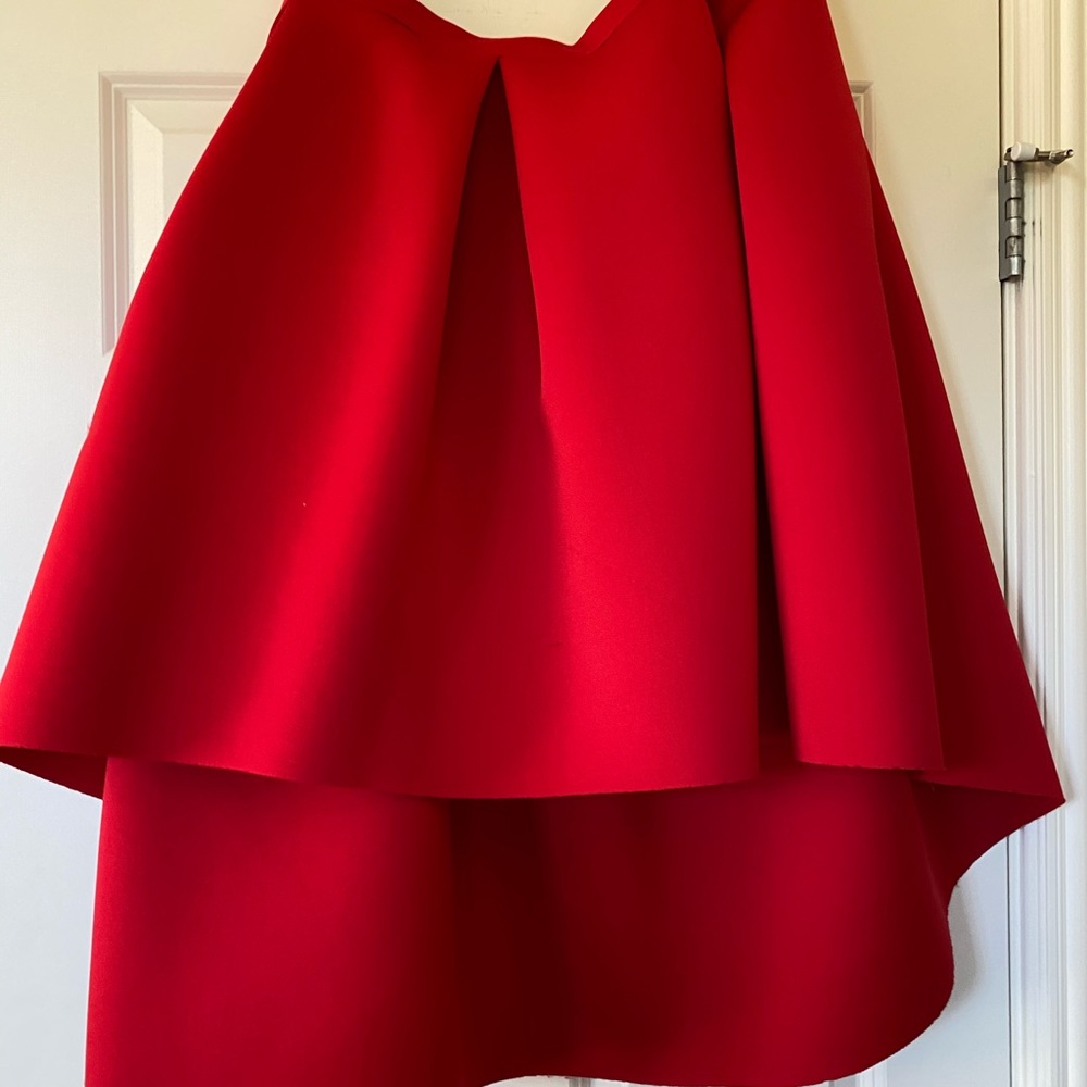 Ashley Stewart skirt